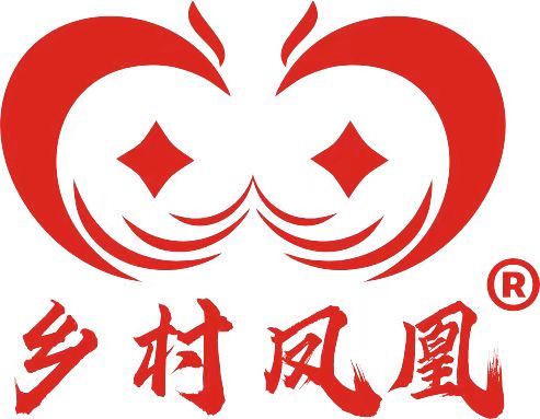 美丽乡村控股集团