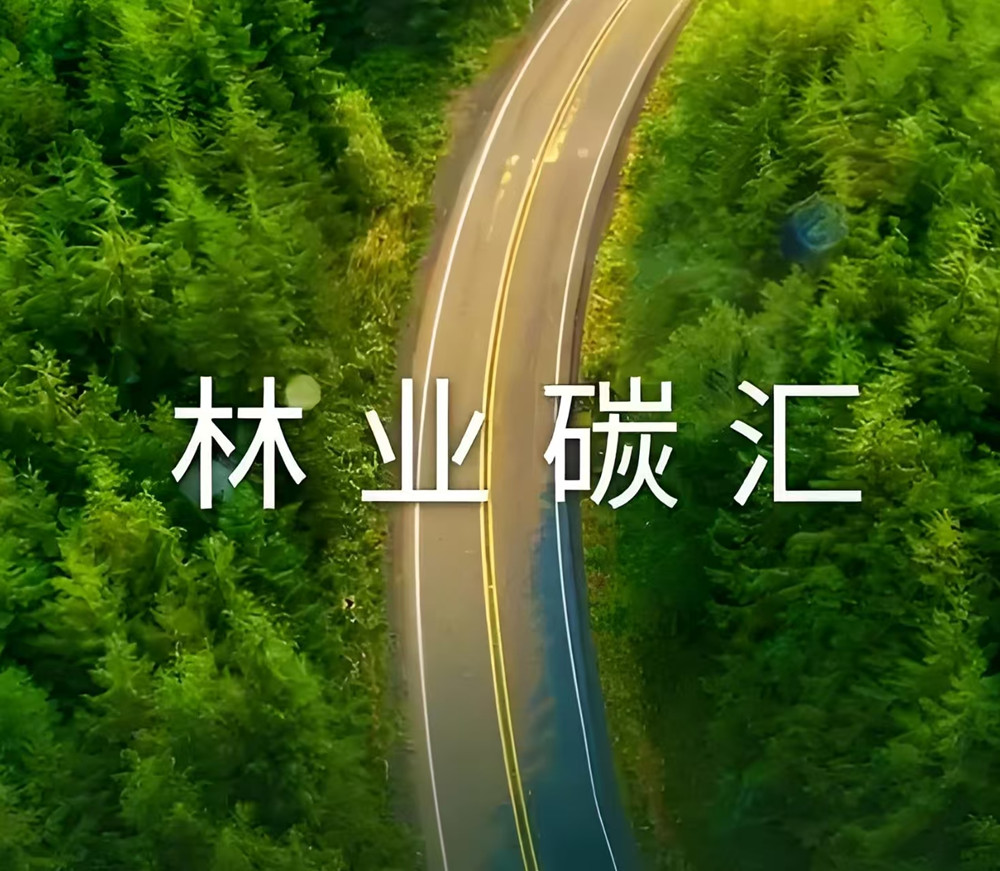 碳汇经济项目