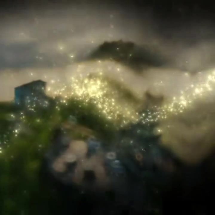 中国雾茶