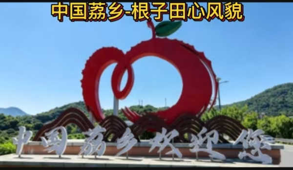 荔枝飘香，高州根子欢迎你。