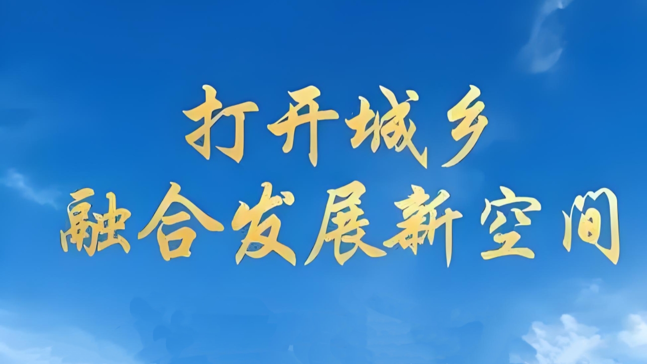 在城乡产业中的造势和借势的区别