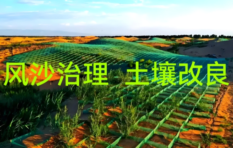 风沙治理  土壤改良