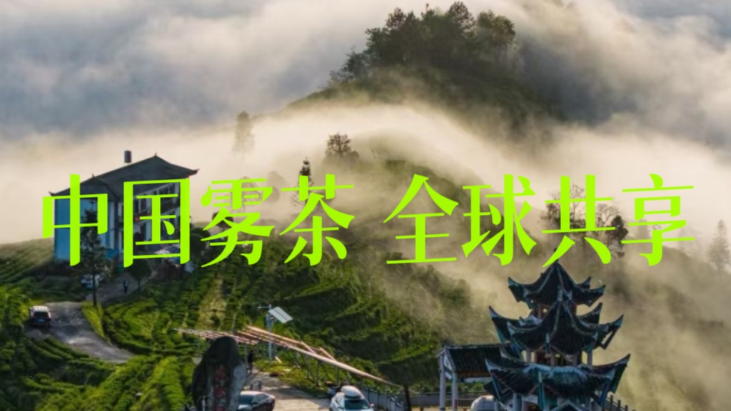 中国雾茶  全球共享