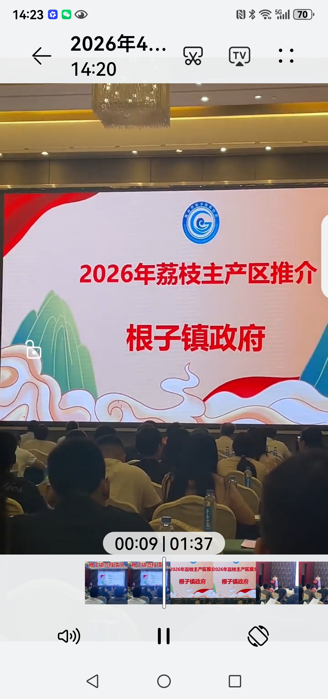 中国荔枝第一镇-根子镇2026年荔枝推广会